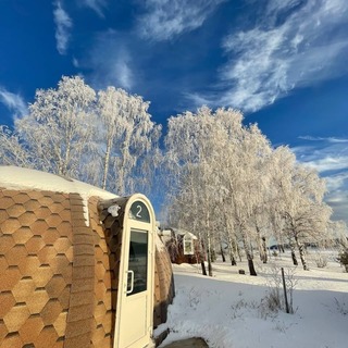 Фото дня 1
