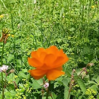 Фото дня 1